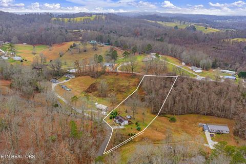 Tiny photo for 124 Mac Ivey Lane, LaFollette, TN 37766 (MLS # 1323844)