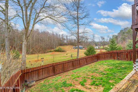 Tiny photo for 124 Mac Ivey Lane, LaFollette, TN 37766 (MLS # 1323844)