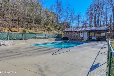 Tiny photo for 1081 Cove Rd #1034, Sevierville, TN 37876 (MLS # 1325995)