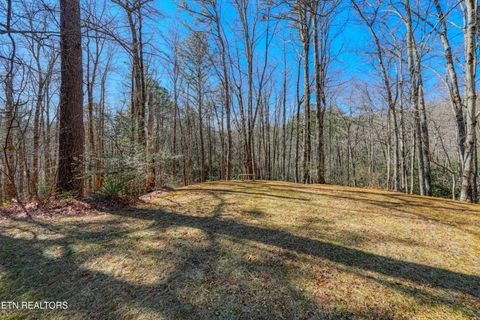 Tiny photo for 1081 Cove Rd #1034, Sevierville, TN 37876 (MLS # 1325995)