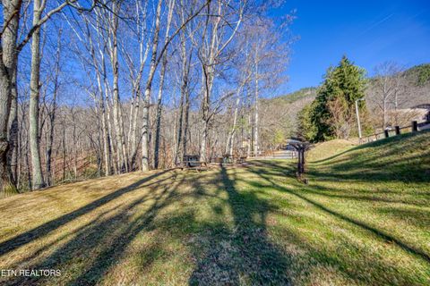 Tiny photo for 1081 Cove Rd #1034, Sevierville, TN 37876 (MLS # 1325995)