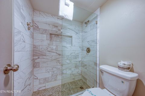 Tiny photo for 1081 Cove Rd #1034, Sevierville, TN 37876 (MLS # 1325995)