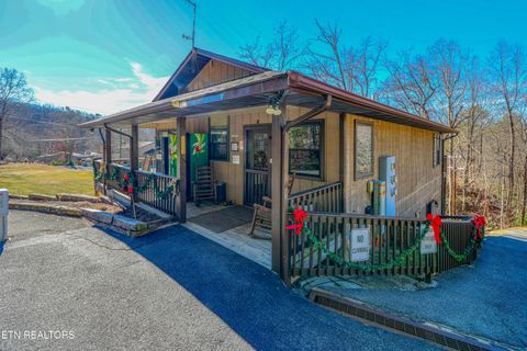 Tiny photo for 1081 Cove Rd #1034, Sevierville, TN 37876 (MLS # 1325995)
