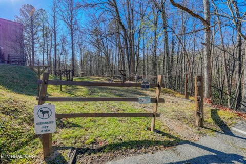 Tiny photo for 1081 Cove Rd #1034, Sevierville, TN 37876 (MLS # 1325995)