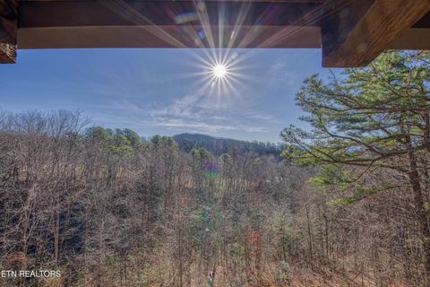 Tiny photo for 1081 Cove Rd #1034, Sevierville, TN 37876 (MLS # 1325995)