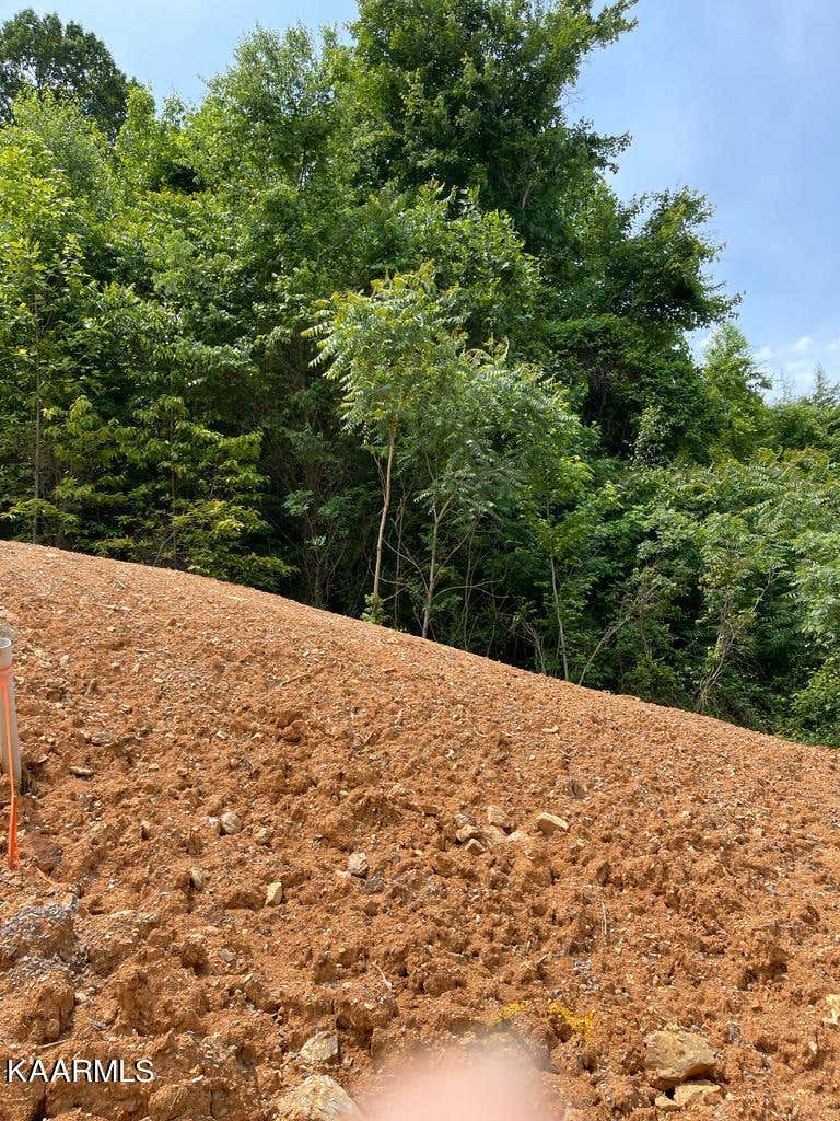 Photo of 1853 Calgary Falls Lane, Knoxville, TN 37931 (MLS # 1224129)