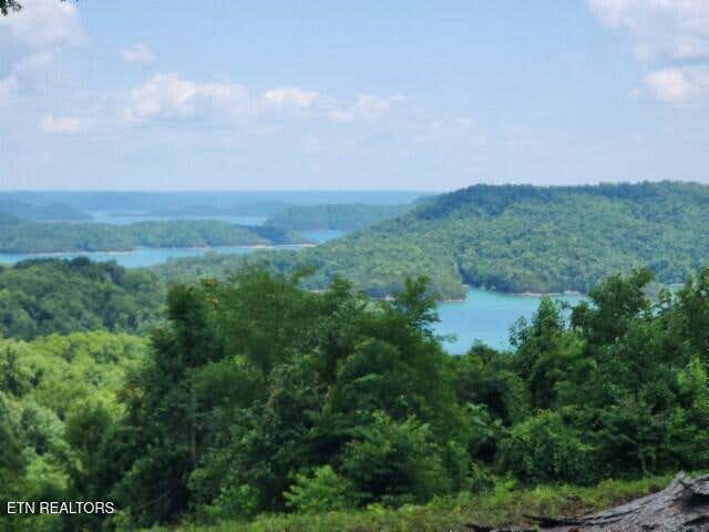 Photo of 27 E Rockfish Rd, Hilham, TN 38568 (MLS # 1344270)