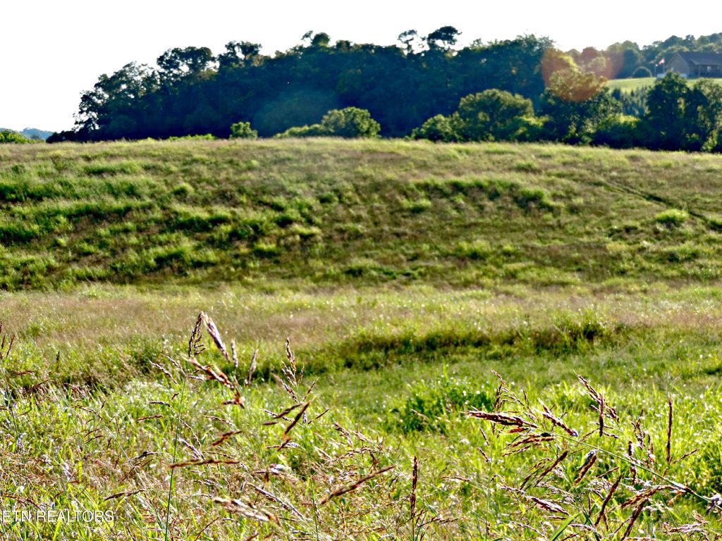 Photo of 1560 Howell River Rd, Rutledge, TN 37861 (MLS # 1307182)