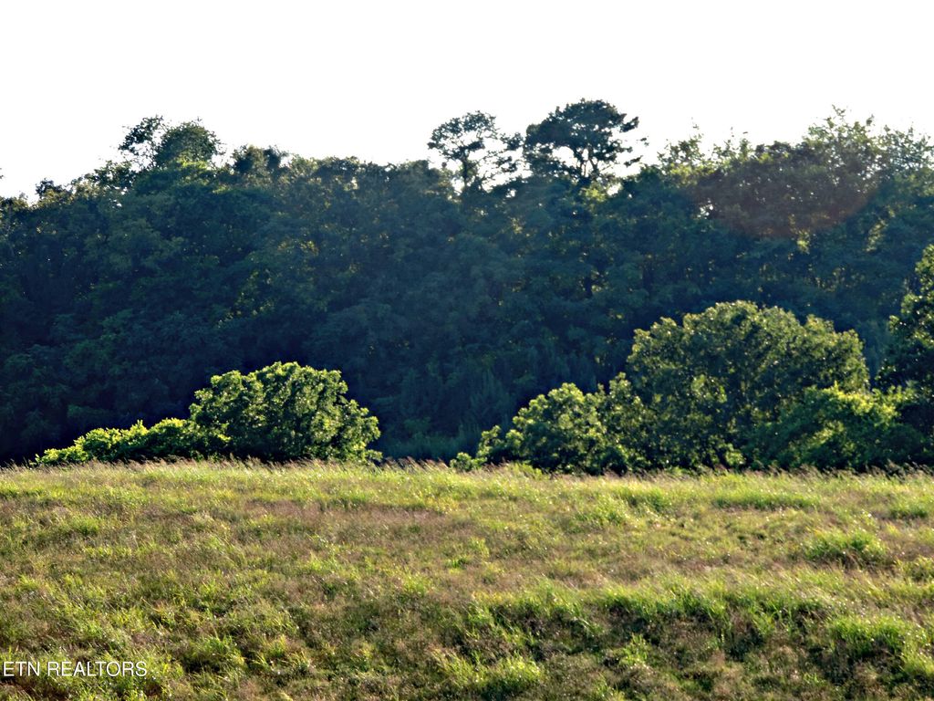 Photo of 1560 Howell River Rd, Rutledge, TN 37861 (MLS # 1307182)