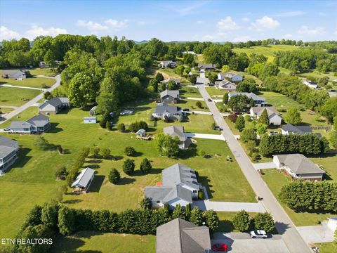 Tiny photo for 145 Cold Creek Rd, Madisonville, TN 37354 (MLS # 1338225)