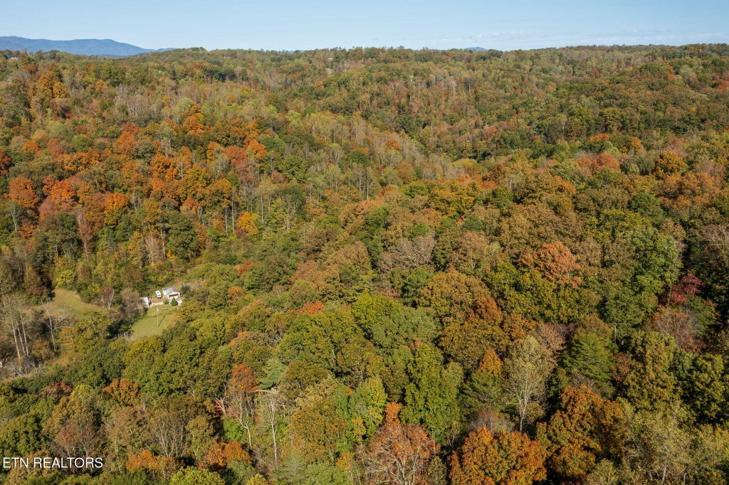Photo of Strong Hollow Lane, Rocky Top, TN 37769 (MLS # 1358740)
