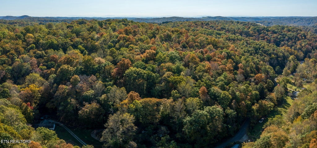 Photo of Strong Hollow Lane, Rocky Top, TN 37769 (MLS # 1358740)