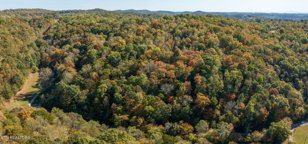 Photo of Strong Hollow Lane, Rocky Top, TN 37769 (MLS # 1358740)