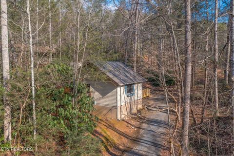 216 Whaley Drive Gatlinburg TN 37738