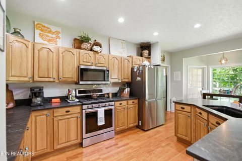 Tiny photo for 1750 Breezie Point Lane, Dandridge, TN 37725 (MLS # 1331929)