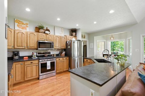 Tiny photo for 1750 Breezie Point Lane, Dandridge, TN 37725 (MLS # 1331929)