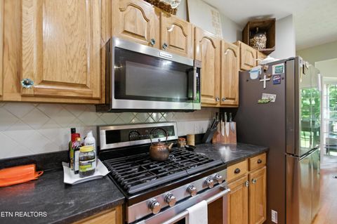 Tiny photo for 1750 Breezie Point Lane, Dandridge, TN 37725 (MLS # 1331929)