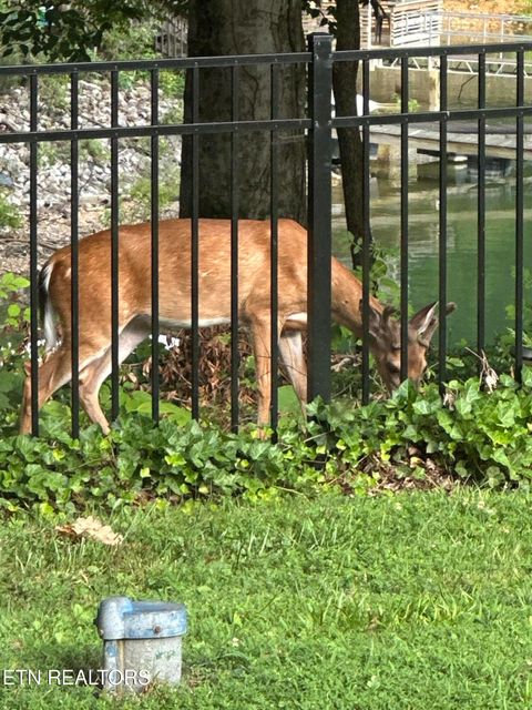 Tiny photo for 1750 Breezie Point Lane, Dandridge, TN 37725 (MLS # 1331929)