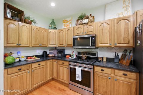 Tiny photo for 1750 Breezie Point Lane, Dandridge, TN 37725 (MLS # 1331929)