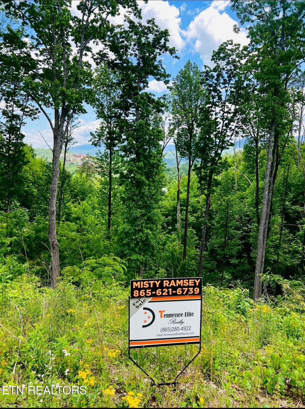 Photo of 926 Chestnut DR Dr, Gatlinburg, TN 37738 (MLS # 1300524)