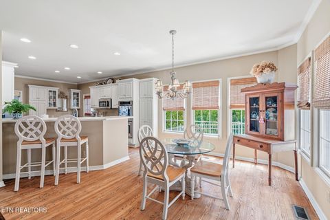 Tiny photo for 801 McKinley Pointe Lane, Knoxville, TN 37934 (MLS # 1348163)