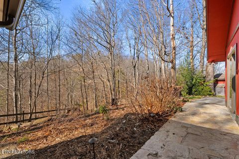 Tiny photo for 804 S Shiloh Rd, Seymour, TN 37865 (MLS # 1330336)