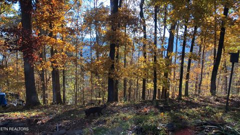 Tiny photo for 804 S Shiloh Rd, Seymour, TN 37865 (MLS # 1330336)