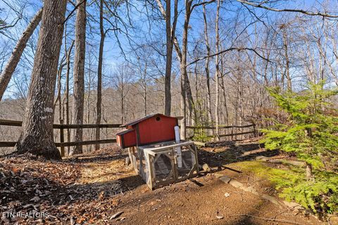 Tiny photo for 804 S Shiloh Rd, Seymour, TN 37865 (MLS # 1330336)