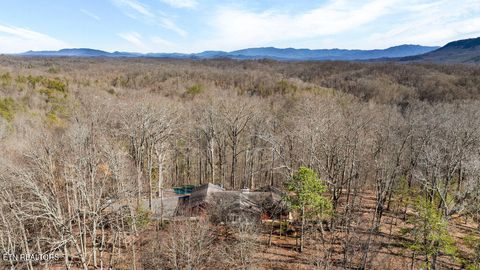 Tiny photo for 804 S Shiloh Rd, Seymour, TN 37865 (MLS # 1330336)