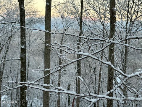 Tiny photo for 804 S Shiloh Rd, Seymour, TN 37865 (MLS # 1330336)