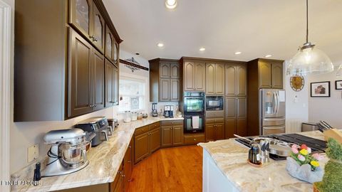 Tiny photo for 275 Rock Point Drive, Vonore, TN 37885 (MLS # 1332584)