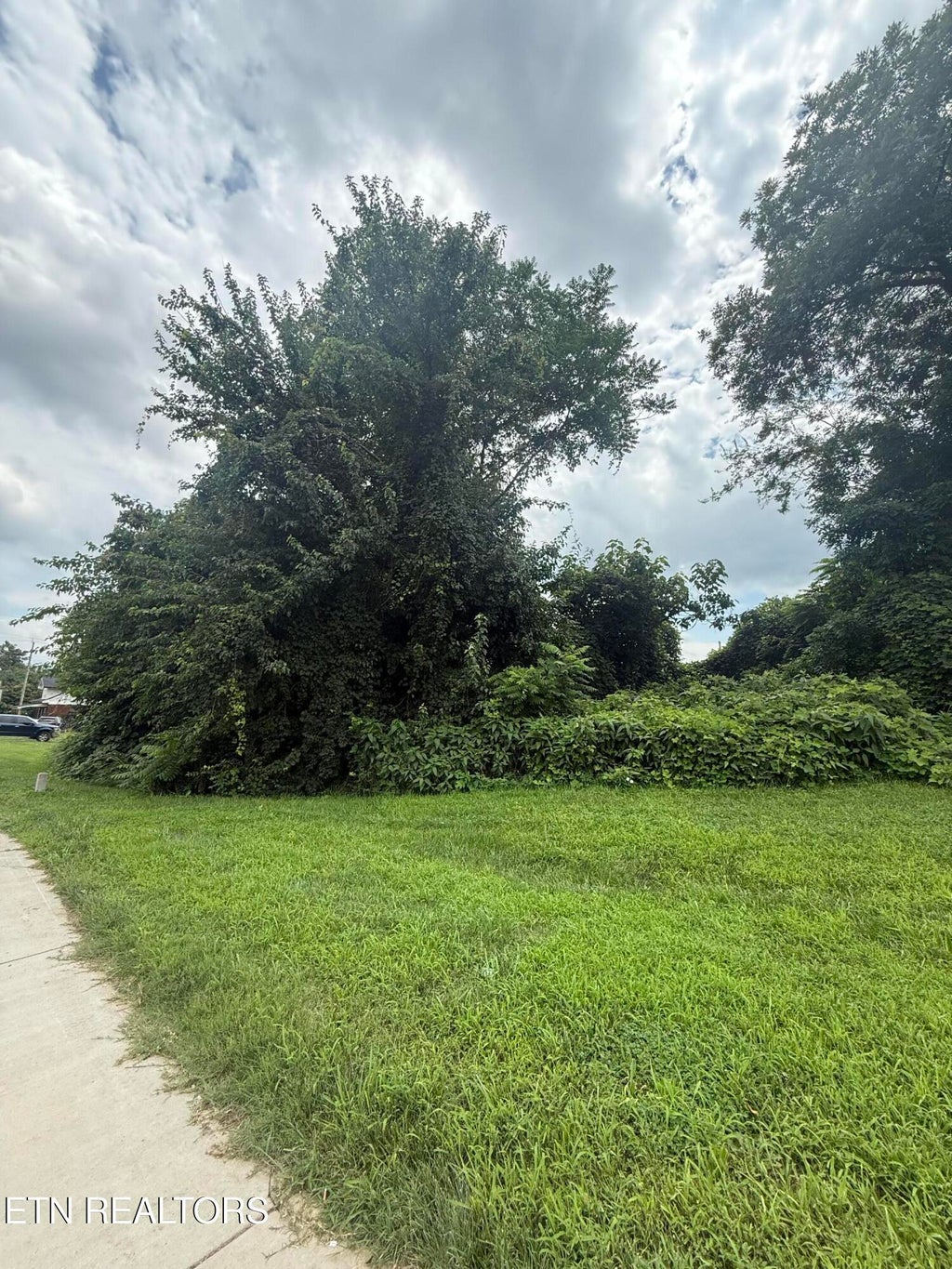 Photo of 0 Western Ave, Knoxville, TN 37921 (MLS # 1349463)