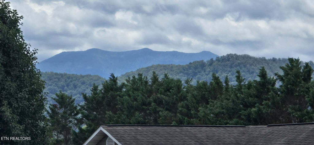 Photo of 2158 Murphys Chapel Drive, Sevierville, TN 37876 (MLS # 1345540)