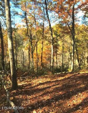 Tiny photo for Riversong Ridge Way, Sevierville, TN 37876 (MLS # 1359989)