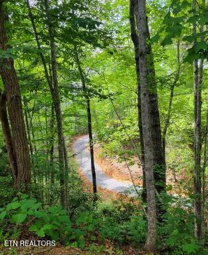 Tiny photo for Riversong Ridge Way, Sevierville, TN 37876 (MLS # 1359989)