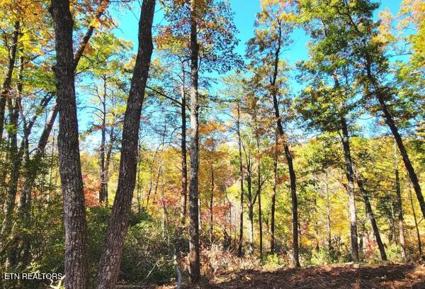 Riversong Ridge Way