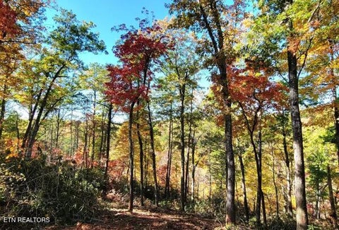 Tiny photo for Riversong Ridge Way, Sevierville, TN 37876 (MLS # 1359989)