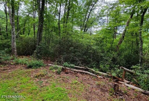 Tiny photo for Riversong Ridge Way, Sevierville, TN 37876 (MLS # 1359989)