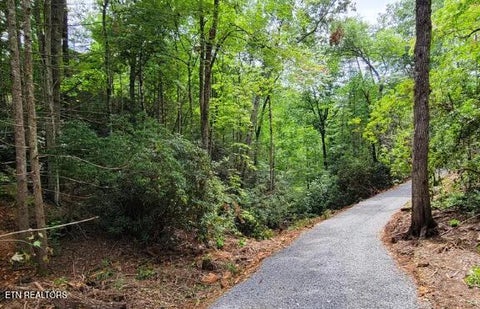 Tiny photo for Riversong Ridge Way, Sevierville, TN 37876 (MLS # 1359989)