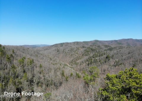 Tiny photo for Riversong Ridge Way, Sevierville, TN 37876 (MLS # 1359989)