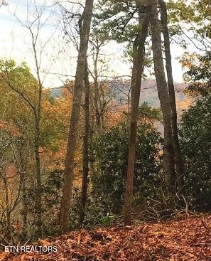 Tiny photo for Riversong Ridge Way, Sevierville, TN 37876 (MLS # 1359989)