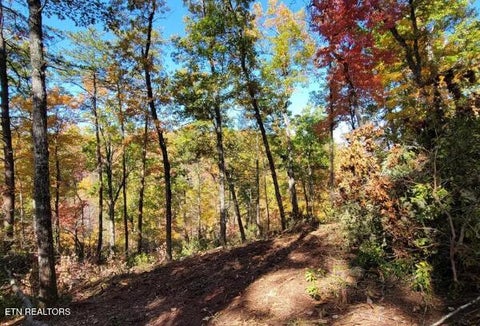 Tiny photo for Riversong Ridge Way, Sevierville, TN 37876 (MLS # 1359989)