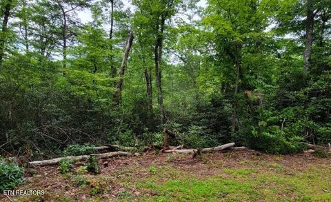 Tiny photo for Riversong Ridge Way, Sevierville, TN 37876 (MLS # 1359989)