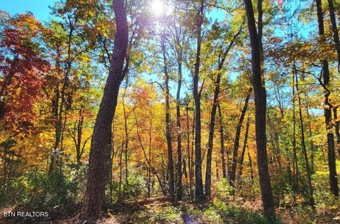 Tiny photo for Riversong Ridge Way, Sevierville, TN 37876 (MLS # 1359989)