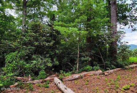 Tiny photo for Riversong Ridge Way, Sevierville, TN 37876 (MLS # 1359989)