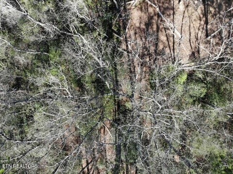 Tiny photo for Riversong Ridge Way, Sevierville, TN 37876 (MLS # 1359989)