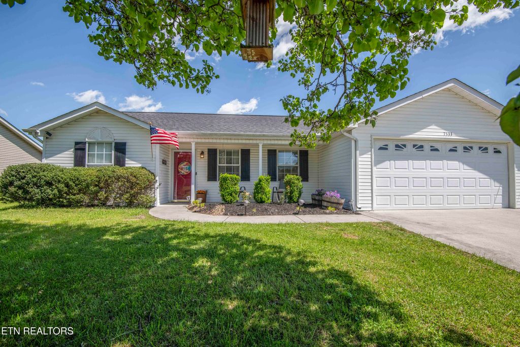 Photo of 7533 Gary White Rd, Corryton, TN 37721 (MLS # 1297085)