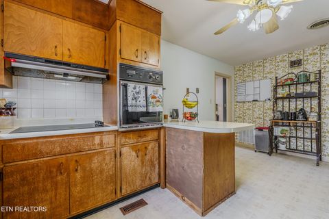 Tiny photo for 6416 Oleary Rd, Knoxville, TN 37918 (MLS # 1335517)