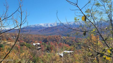 Tiny photo for 923 Pine Cove Way, Gatlinburg, TN 37738 (MLS # 1324638)