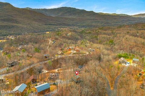 Tiny photo for 923 Pine Cove Way, Gatlinburg, TN 37738 (MLS # 1324638)